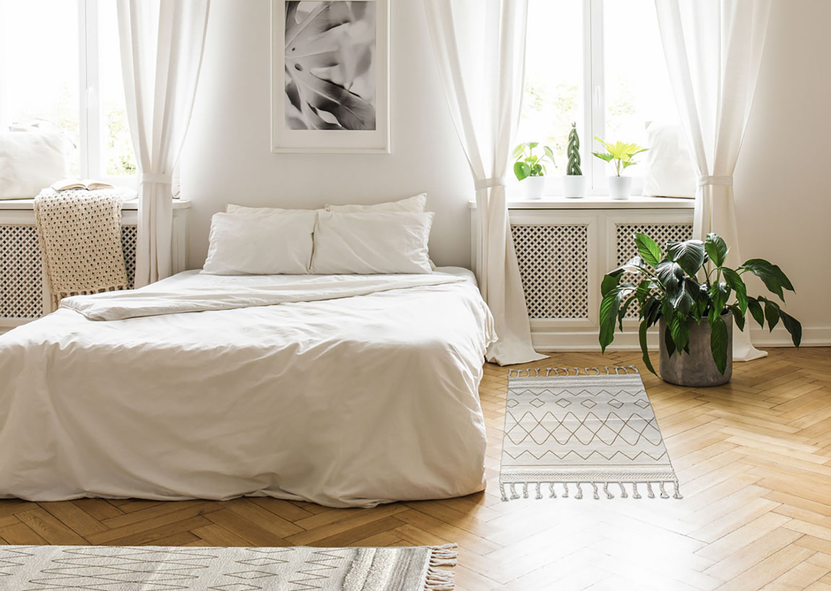 Oasi cammello - immagine 4