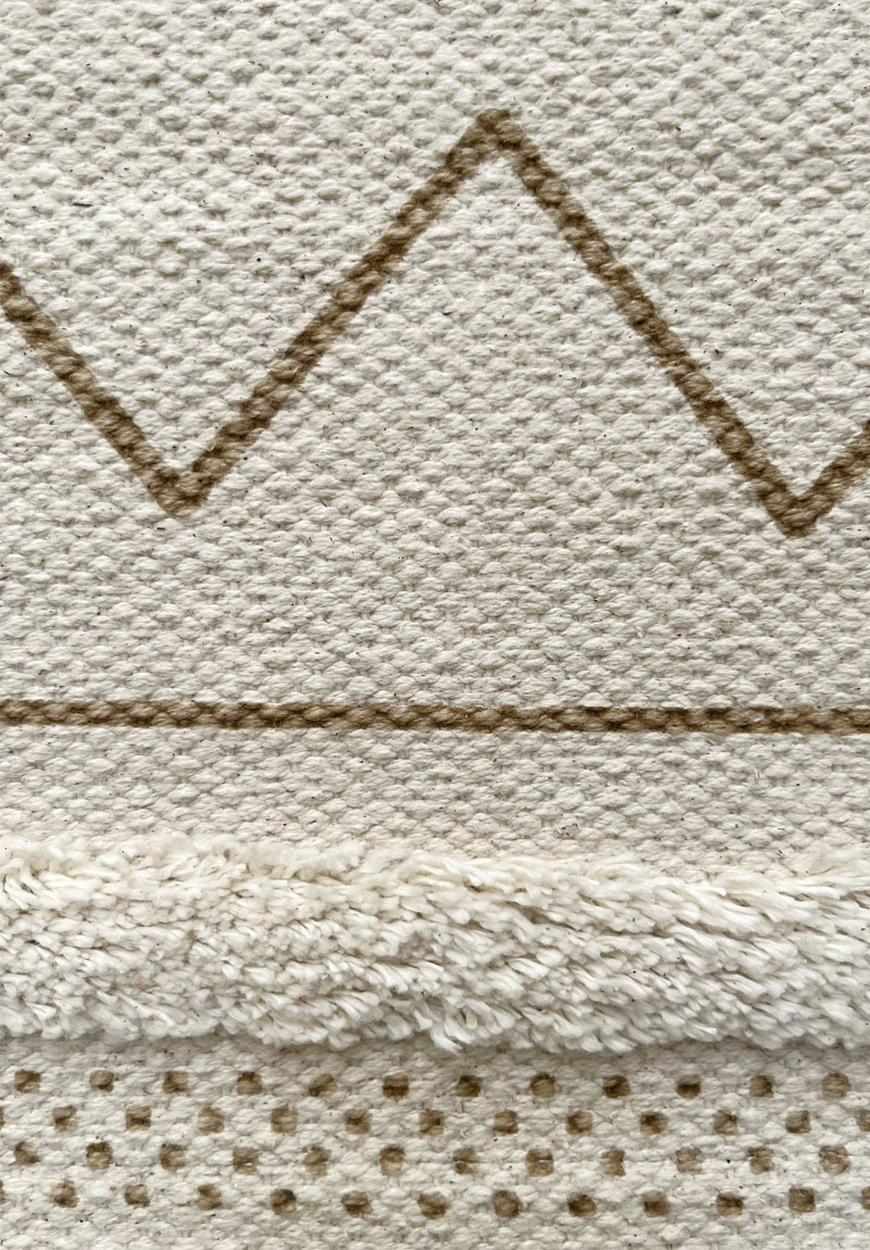 Oasi cammello - immagine 3