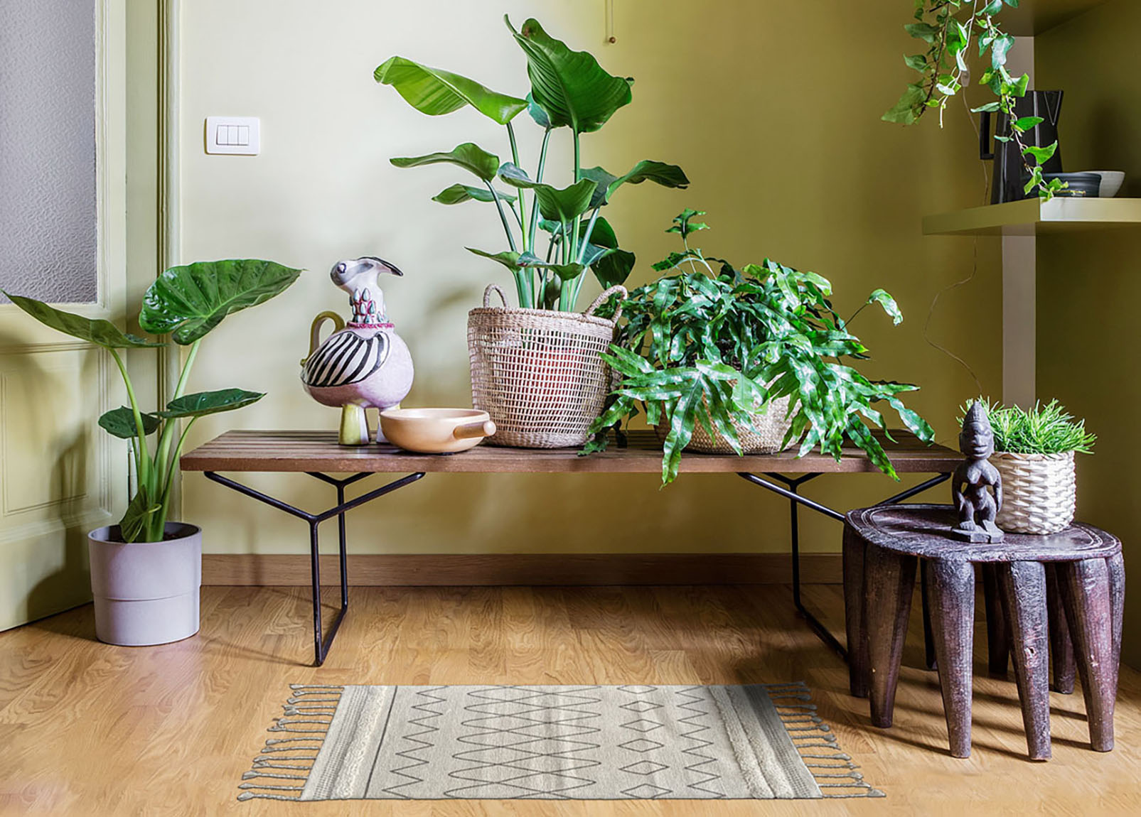 Oasi grigio - immagine 4